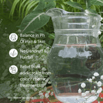 Load image into Gallery viewer, Detox Plate