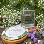 Load image into Gallery viewer, Detox Coaster