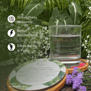 Detox Coaster